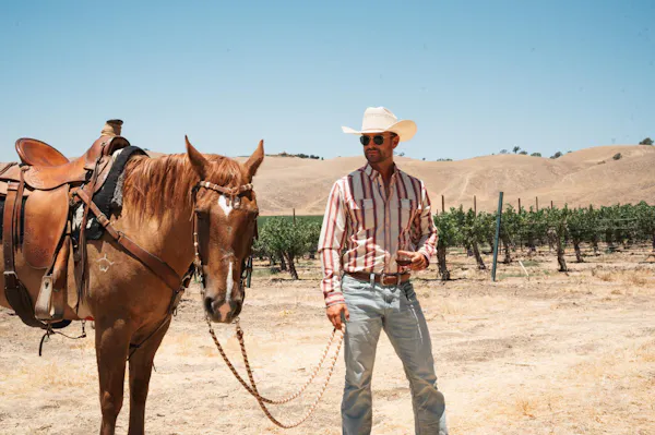 hat, sun hat, horse tack, cowboy hat, horse, fedora