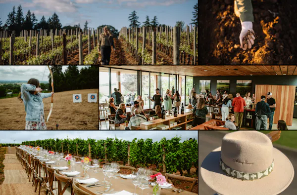 agriculture, plantation, field, grapevines, farm