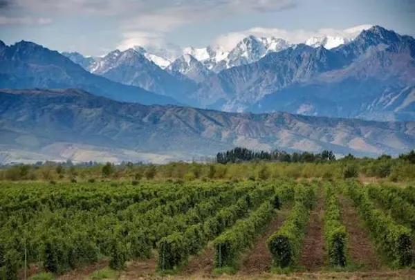 mountain, agriculture, highland, hill, mountain range, hill station