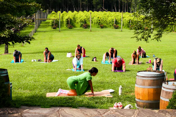 recreation, summer, leisure, spring, fun, people in nature