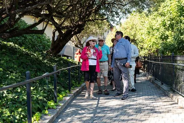 plant, shorts, people in nature, botany, leaf, tree