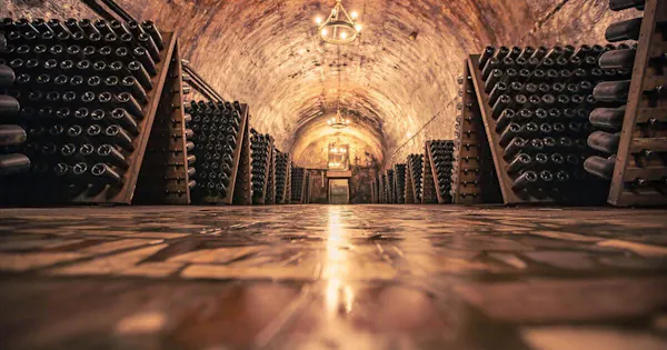 winery, barrel, wine cellar, still life photography, tunnel, basement
