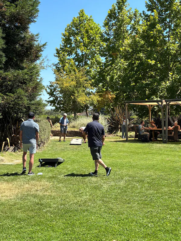 grass, recreation, leisure, grasses, lawn, park
