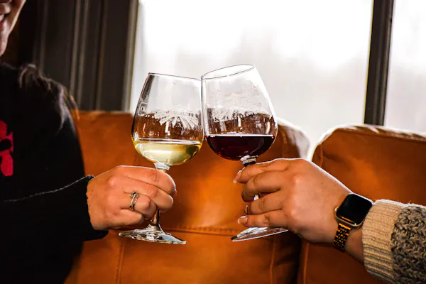 stemware, tableware, drinkware, wine glass, alcoholic drink, barware