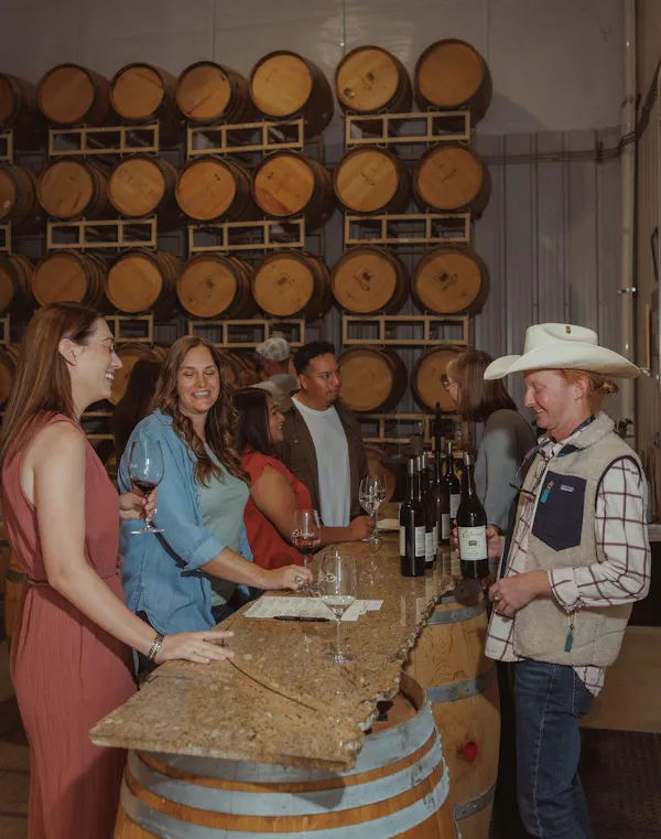 barrel, winery, wine cellar, brewery, keg