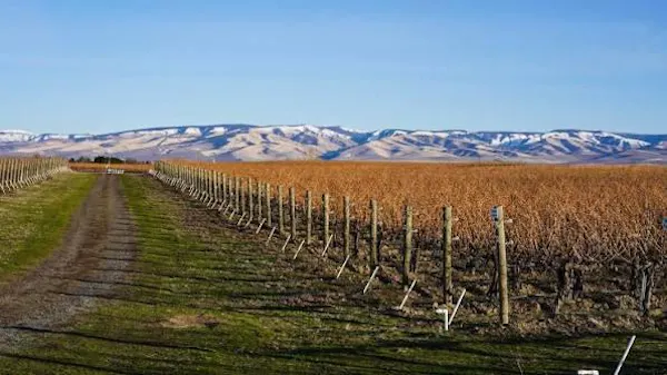 agriculture, plain, field, landscape, ecoregion, rural area