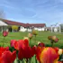 Sheridan Vineyard