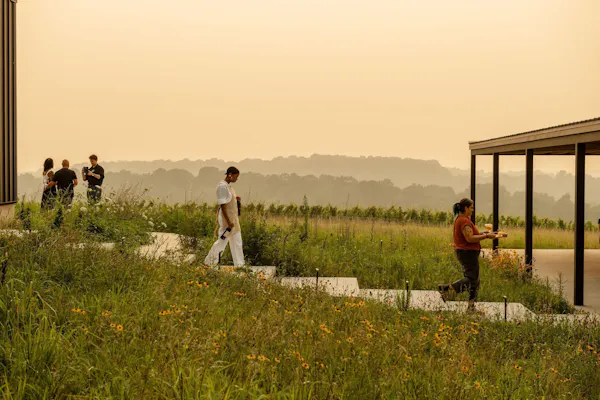 ecoregion, plain, people in nature, morning, agriculture, field
