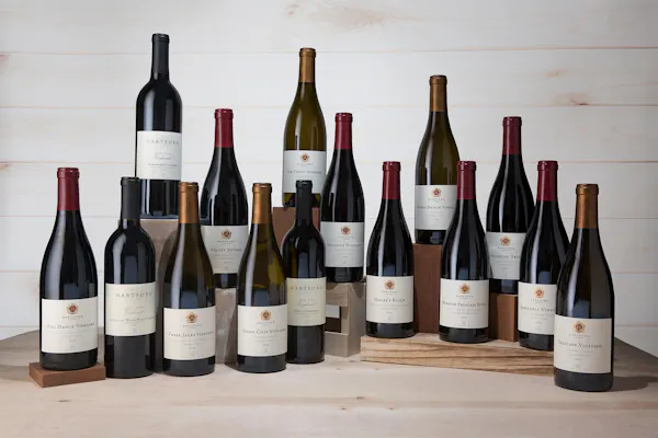 bottle, wine bottle, glass bottle, drink, wine, alcohol