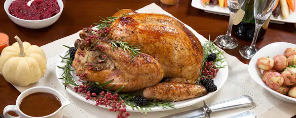 food, turkey meat, tableware, hendl, drunken chicken, recipe