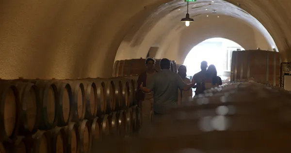 barrel, winery, wine cellar