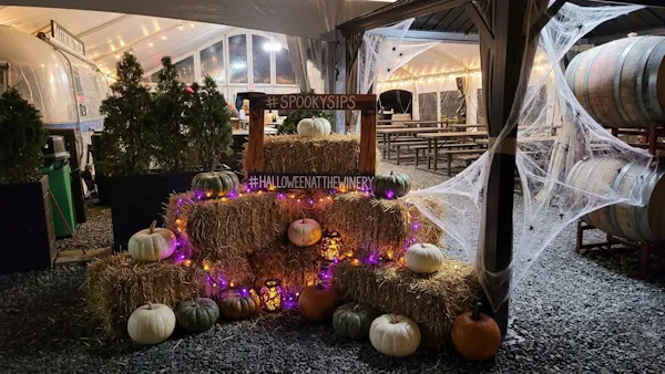 squash, pumpkin, winter squash, calabaza, tent