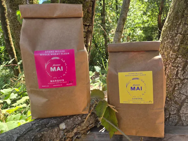 packaging and labeling, label