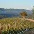 San Simeon Estate
