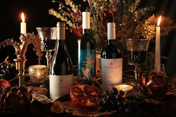 bottle, alcoholic drink, glass bottle, wine, drinkware, wine bottle