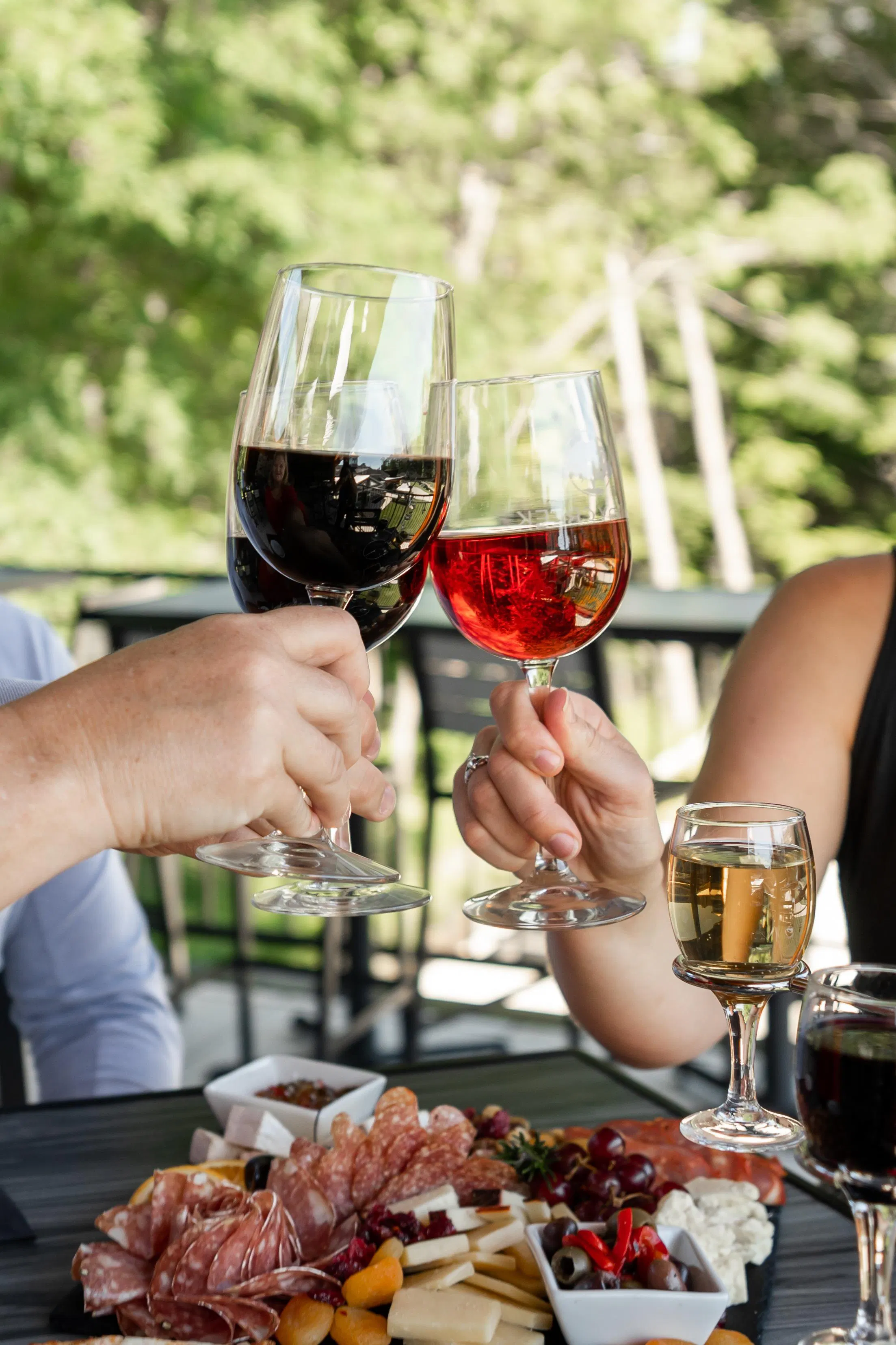 Java Carter Michigan Shady Creek Winery - Tasting Room Reservation: Food and Wine - Michigan ...