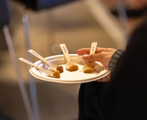food, tableware, ingredient, finger food, serveware, dishware