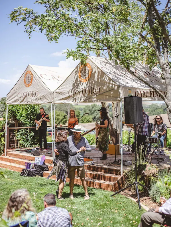 event, recreation, tent, public space, leisure, canopy