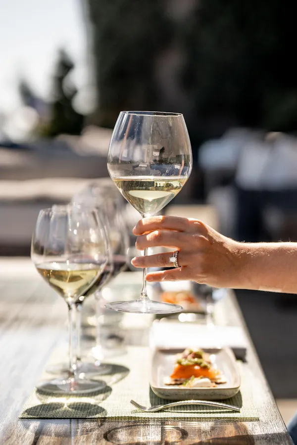 stemware, tableware, drinkware, wine glass, barware, serveware