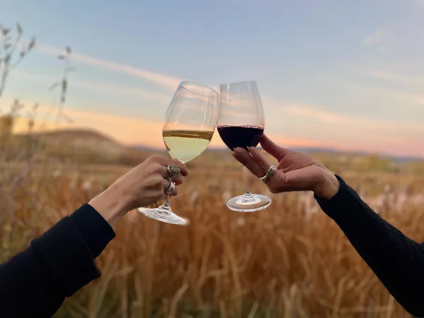 sky, tableware, hand, stemware, cloud, drinkware