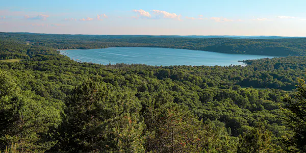 water resources, natural environment, natural landscape, vegetation, ecoregion, wilderness