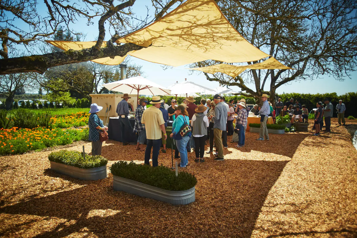 recreation, event, leisure, people in nature, spring, garden
