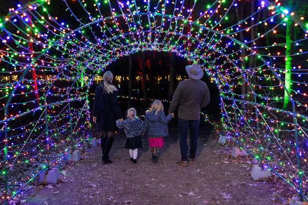 clothing, light, decoration, nature, fun, people in nature