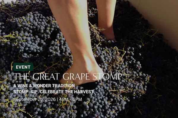 fruit, produce, food, grape, natural foods, seedless fruit