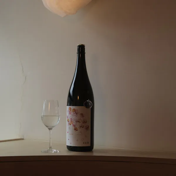 bottle, alcoholic drink, glass bottle, liquid, drinkware, wine bottle