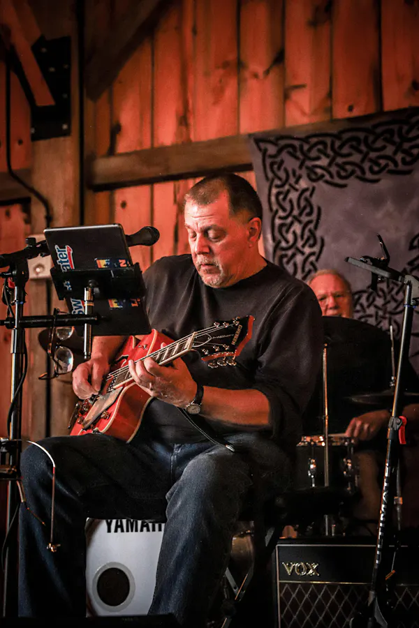 musical instrument, audio equipment, string instrument, chordophone, guitarist, guitar