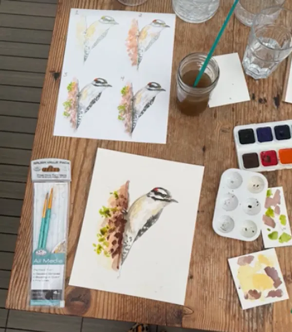 paper, paper product, office supplies, stationery, bird, feather