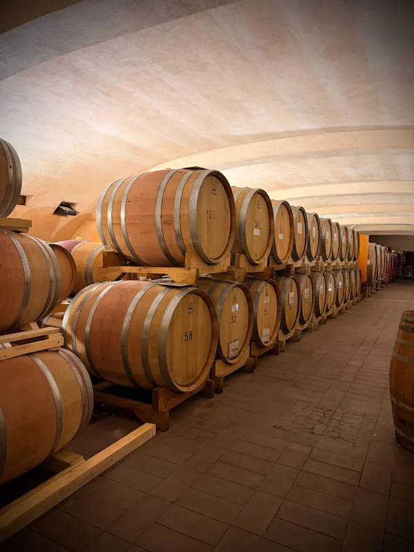 barrel, winery, wine cellar, hardwood, cylinder, mass production