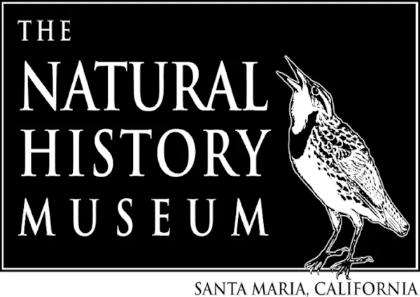 museum, exhibition, poster, picture frame