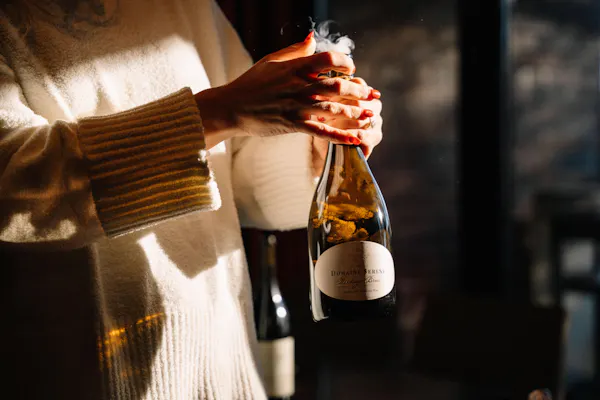 bottle, alcoholic drink, glass bottle, alcohol, liquid, wine bottle