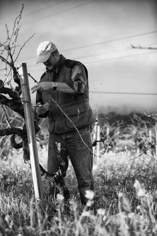 agriculture, farmworker, field, workwear, blue-collar worker, farm