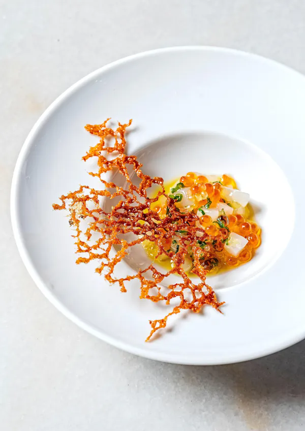 food, ingredient, dishware, culinary arts, garnish, recipe