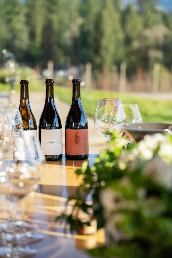 stemware, wine, serveware, barware