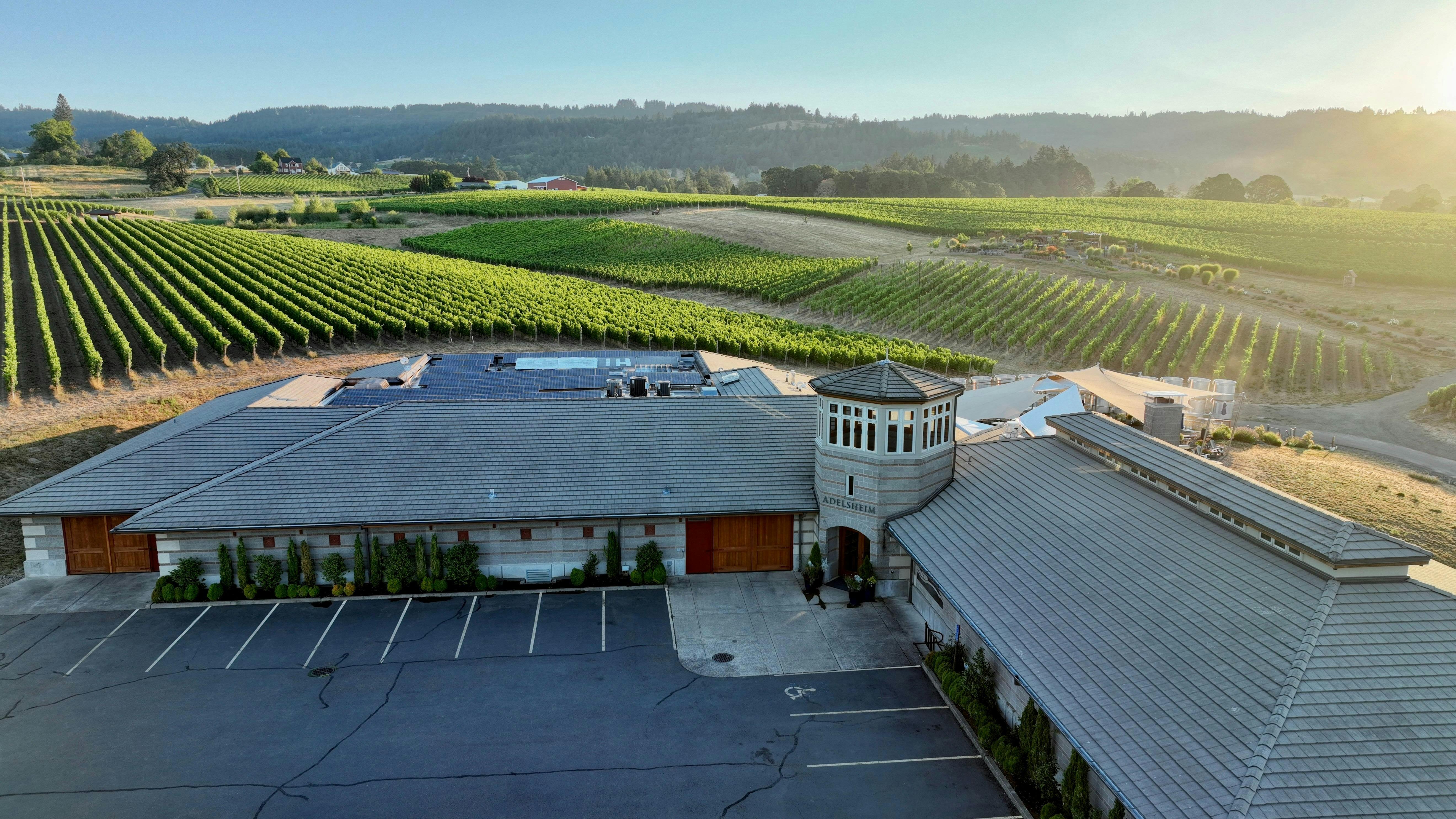 Adelsheim Vineyard