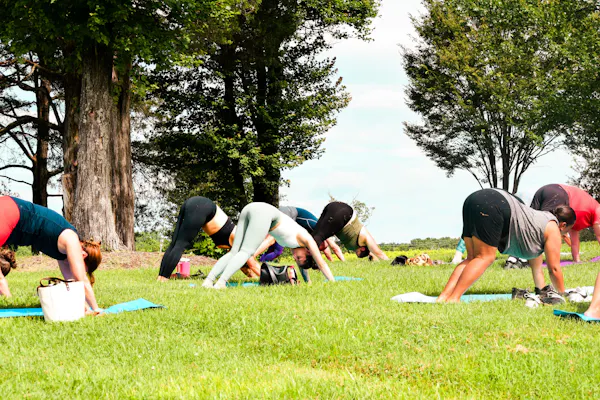 physical fitness, exercise, yoga, sportswear, yoga pants, leisure
