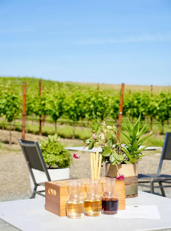 alcoholic drink, bottle, agriculture, field, wine, liquor