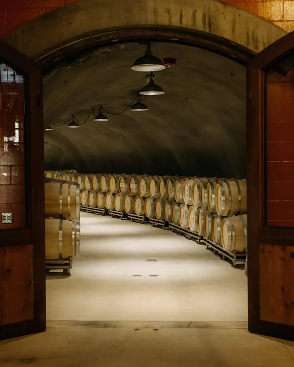 barrel, winery, lighting, wine cellar, brewery, wood stain