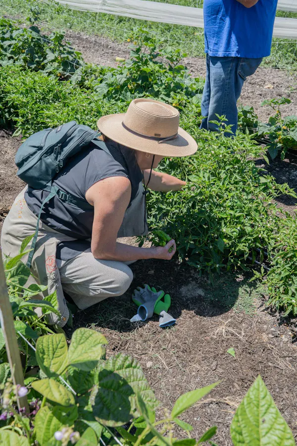 hat, green, farmworker, headgear, sun hat, soil
