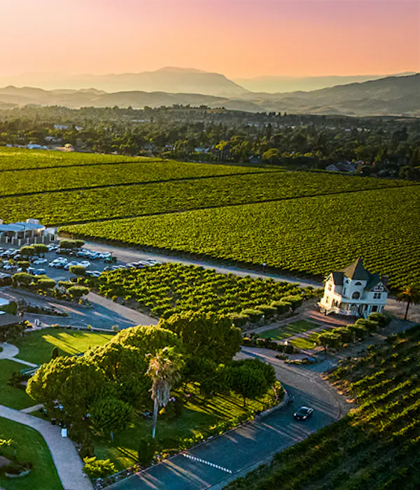 agriculture, plantation, field, crop, farm, vineyard