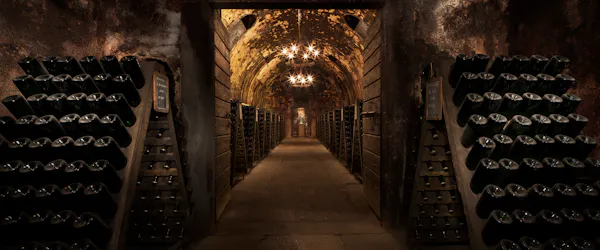 winery, wine cellar, barrel, basement