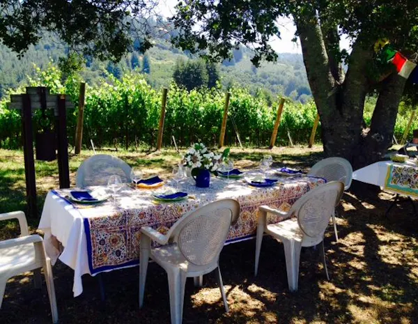 restaurant, tablecloth, table, tree, event, chair