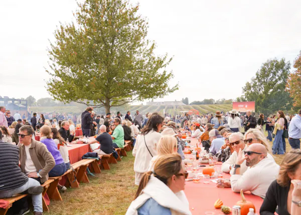people, crowd, event, recreation, jeans, leisure