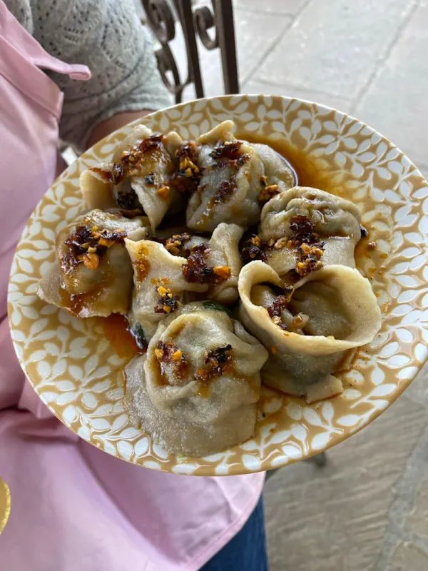 food, dumpling, ingredient, tableware, dim sim, recipe