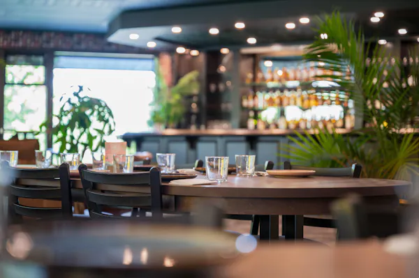 furniture, restaurant, table, flowerpot, chair, kitchen & dining room table