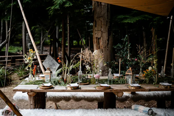 wood, outdoor table, natural material, woodland, tablecloth, outdoor furniture