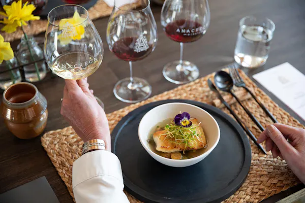 stemware, tableware, food, drinkware, wine glass, serveware